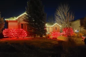 House-shrubs-holidaylighting2-confluencell-20211201_173645-20211201_173645