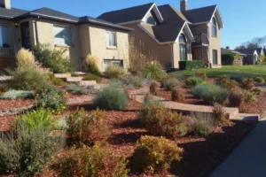 Landscape-planthealthcare-xeriscape-install-confluencell-20141029_152224-20141029_152224