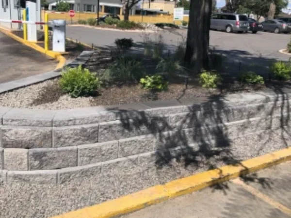 Planterbed plantings block wall