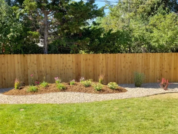 Plantings fence enhancement install