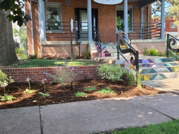 Plantings planthealthcare enhancement